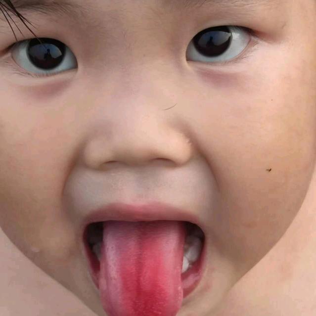 我家有两个猪👨‍👩‍👧‍👦