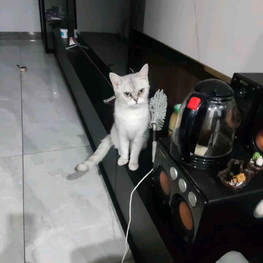 对方正在长头发