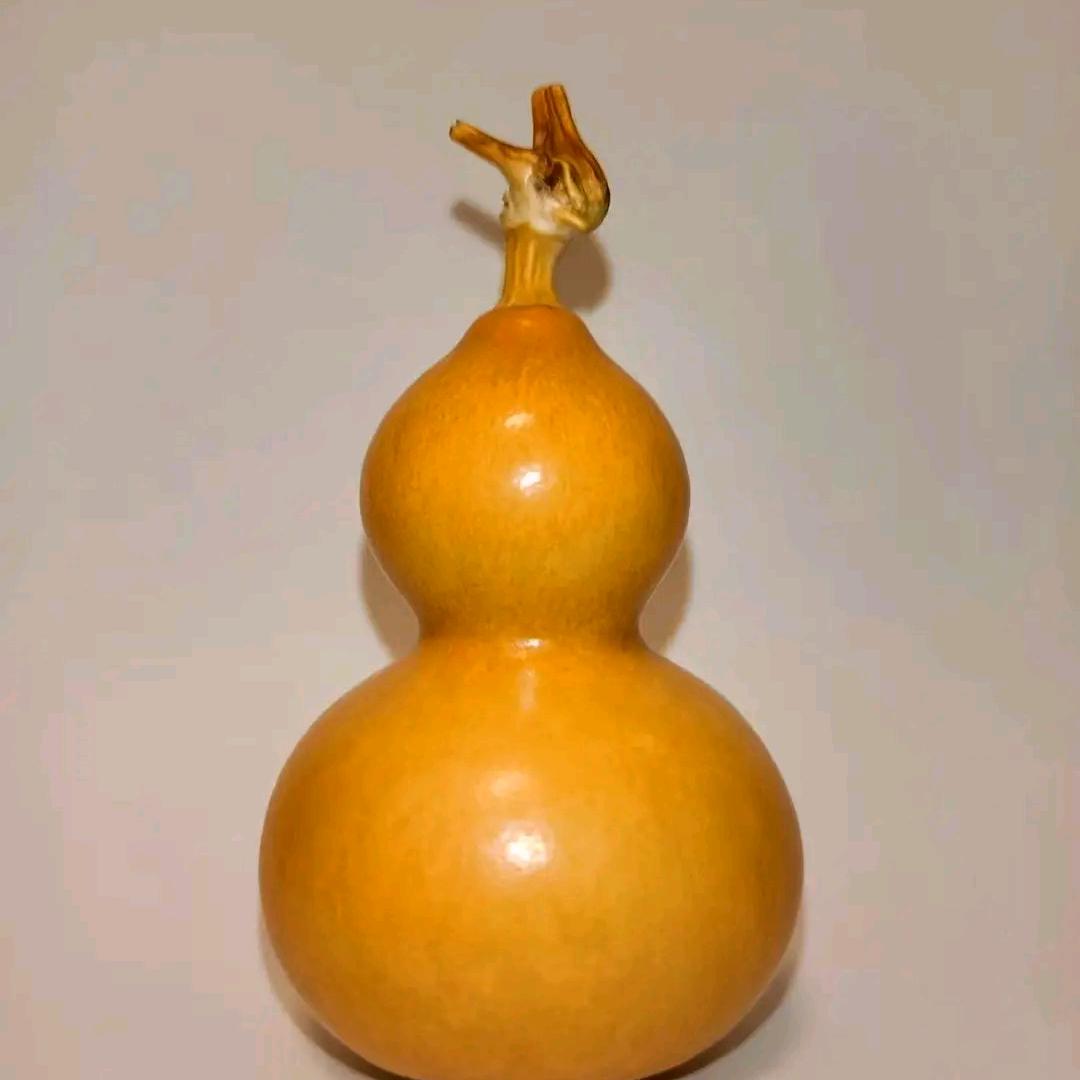 一帆风顺