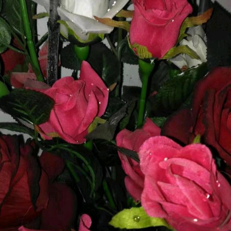 user1990156285060兰姐姐