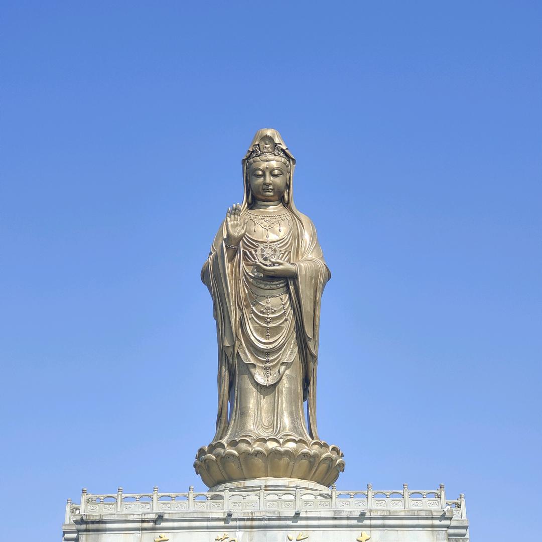 打不死的小强127