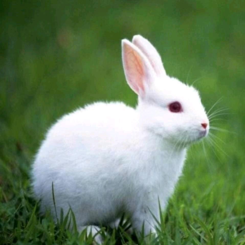 ꧔ꦿ᭄ 断秋风ღ