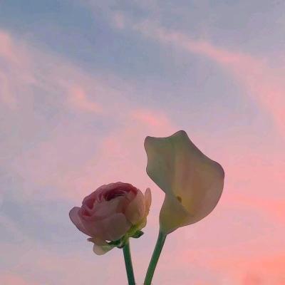 L0Ve