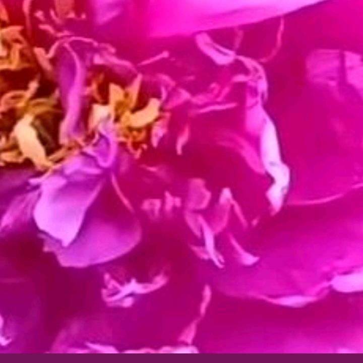 我要坚强🤛坚强就是胜利