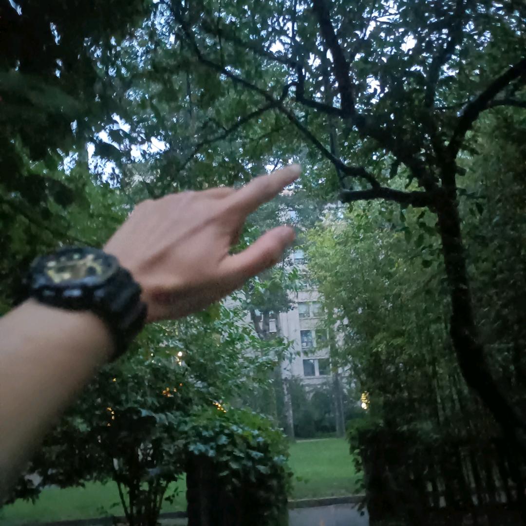 万般皆是命