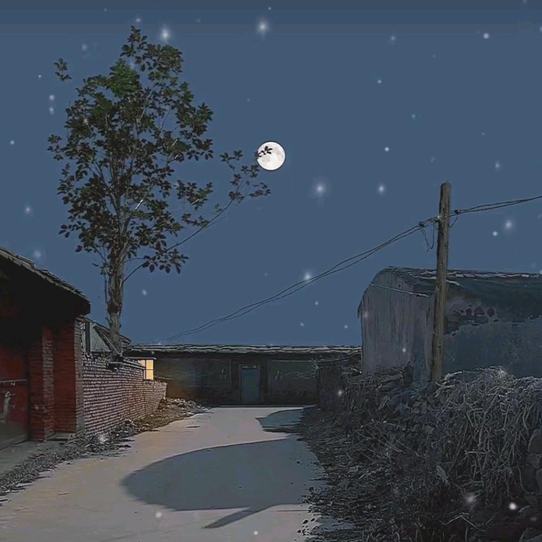 深夜失眠疗愈所