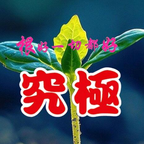 伊芙生物科技