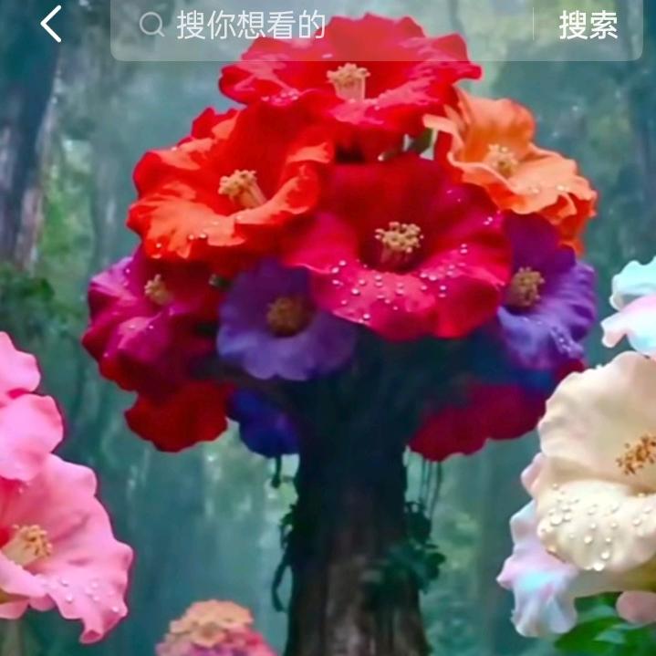 离婚单身带六个娃