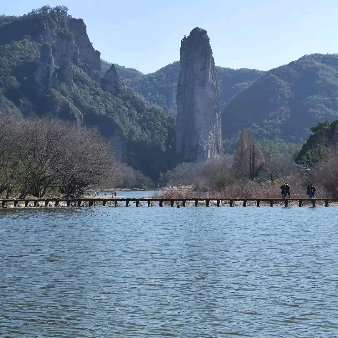 刘_185796209
