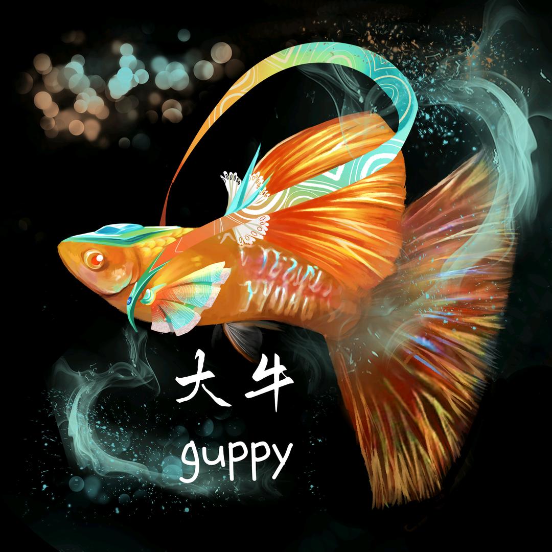 大牛水族（crazyfish痴鱼）