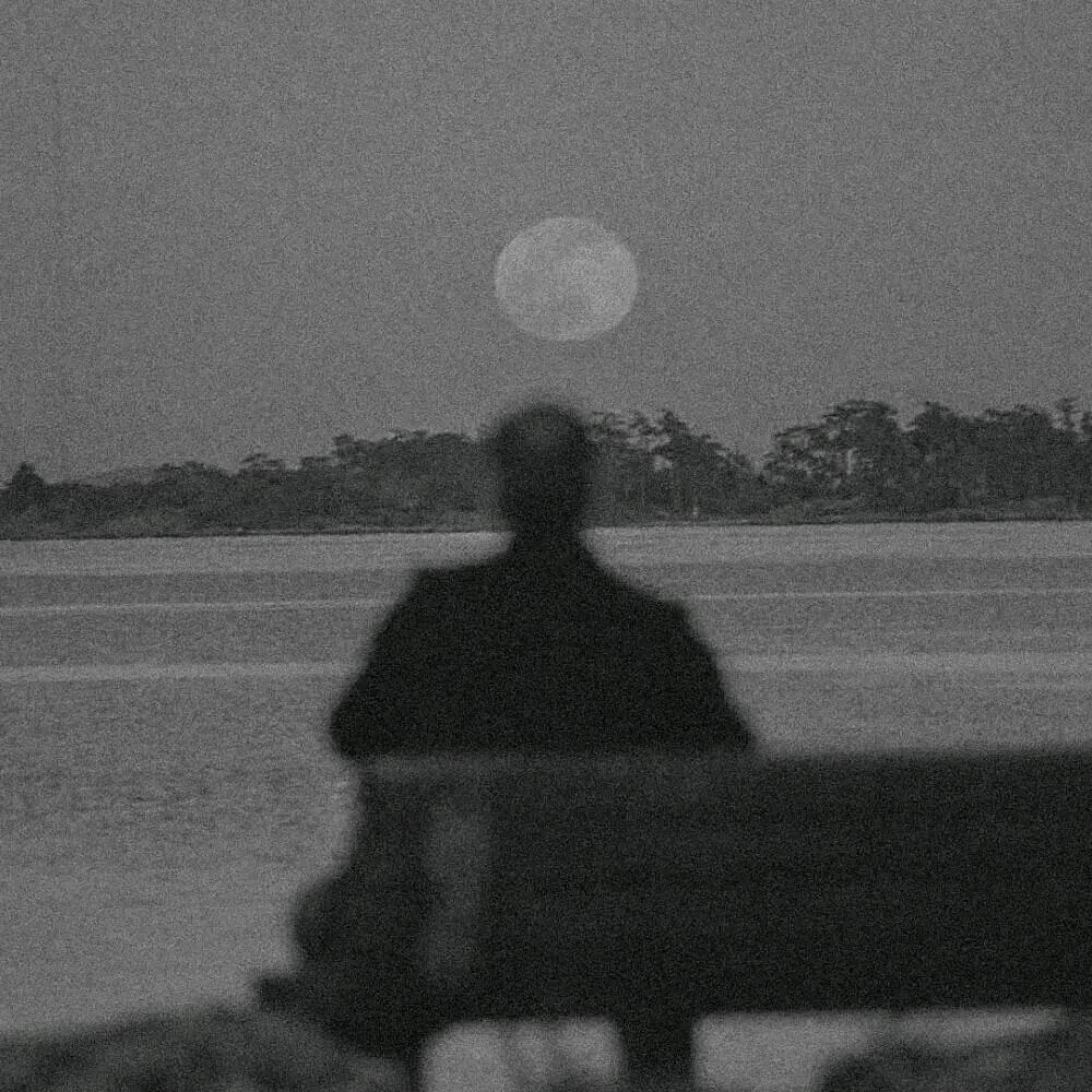 赛纳_金骏马二手车