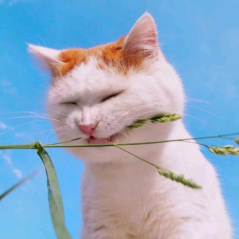 义乌市阙创电子科技有限公司