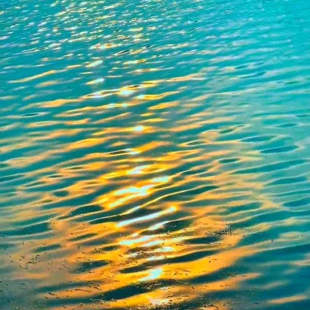 爱吃疙瘩汤的老狼