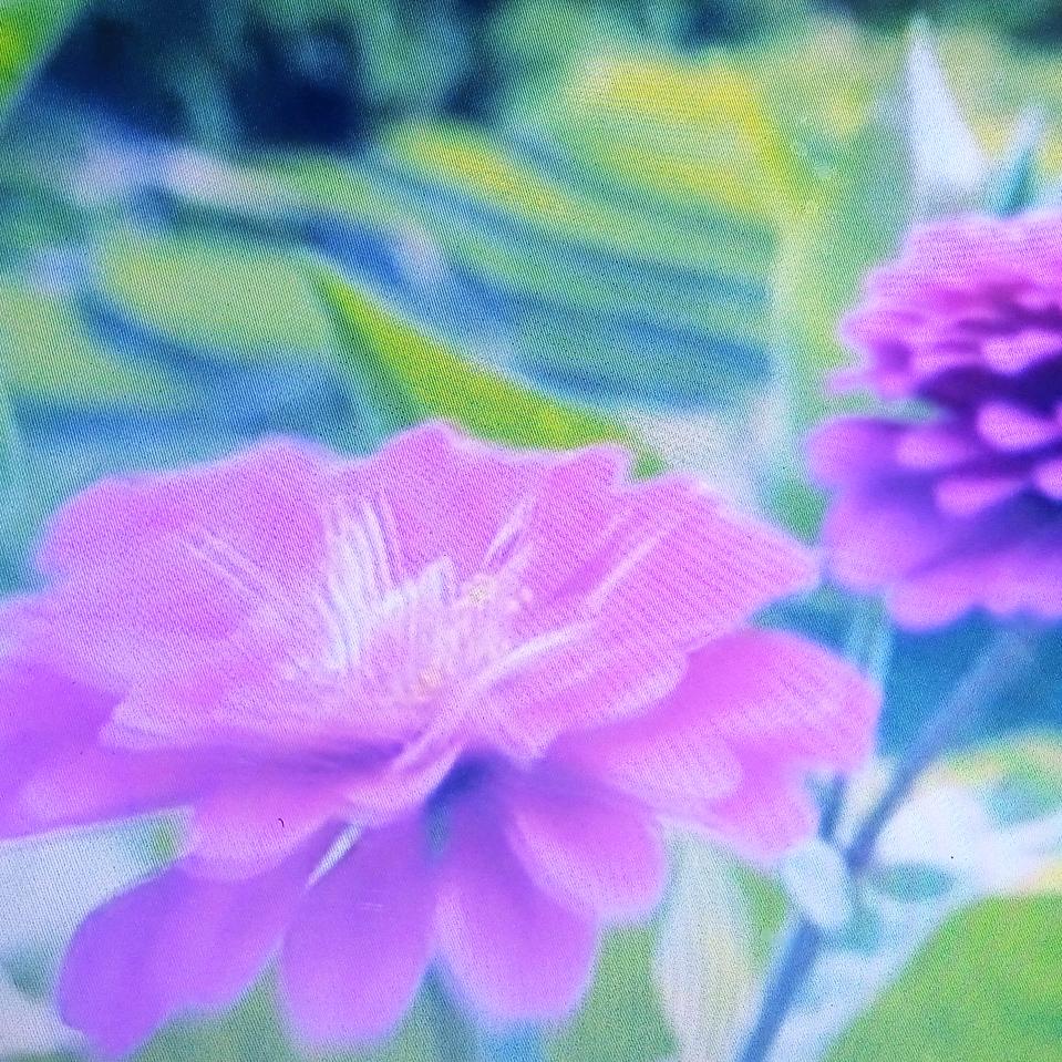 花好月圆在唱歌