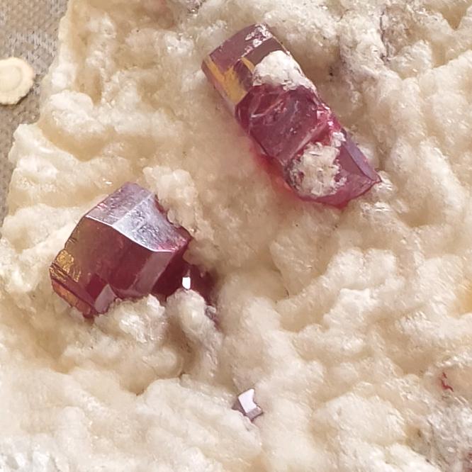 三春晓万山原生朱砂