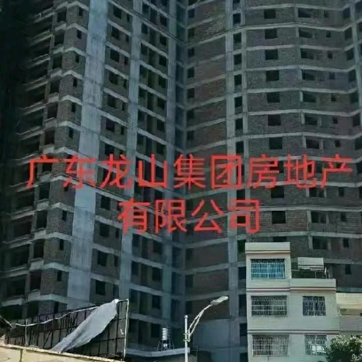 高冷慢热(5)龙