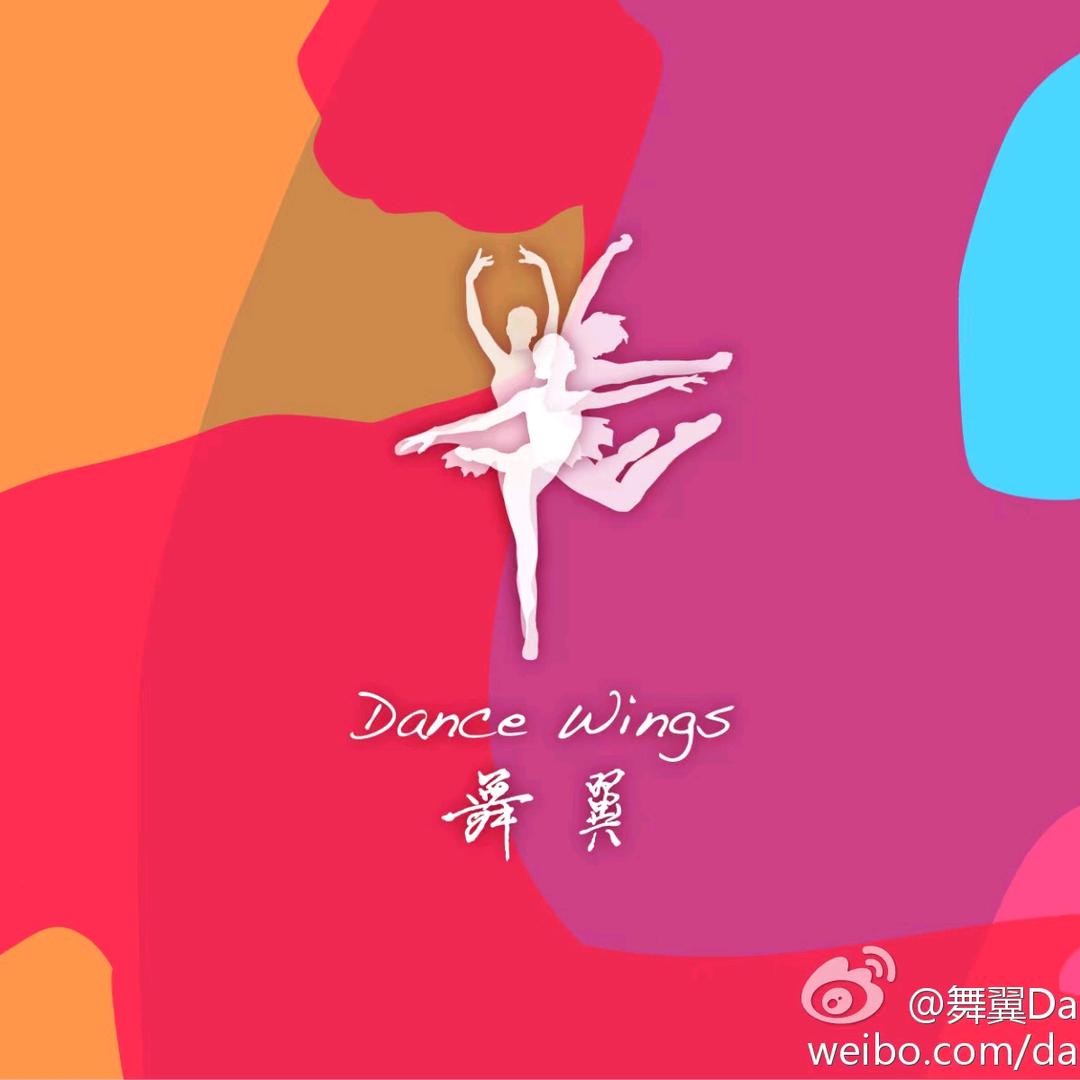 舞翼·航空形体培训