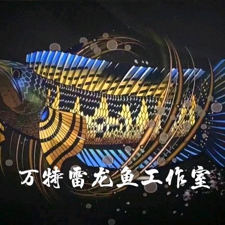 万特雷龙鱼工作室