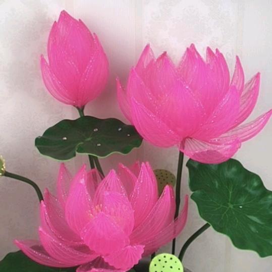 @ℳঞᩚ乄杺