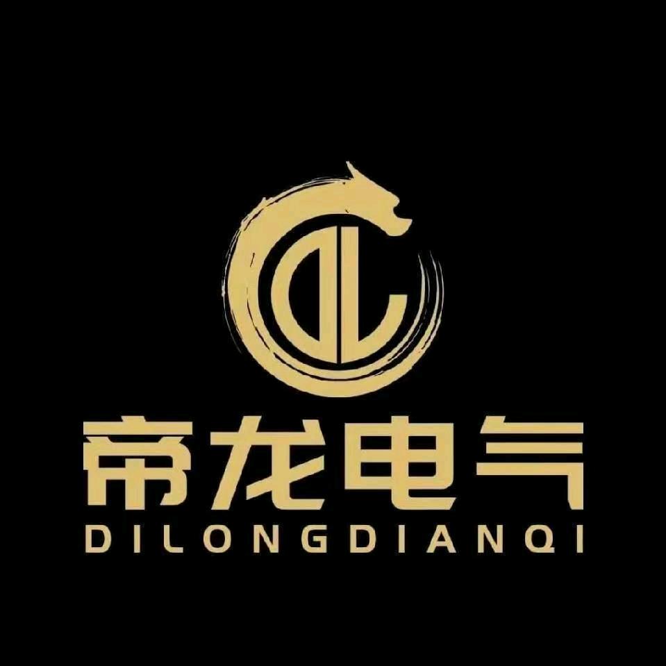 帝龙电气
