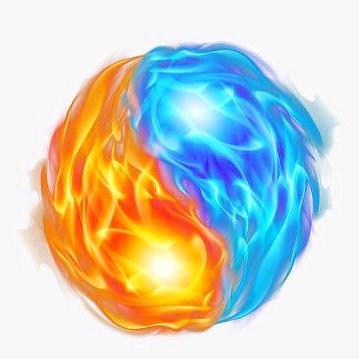 志