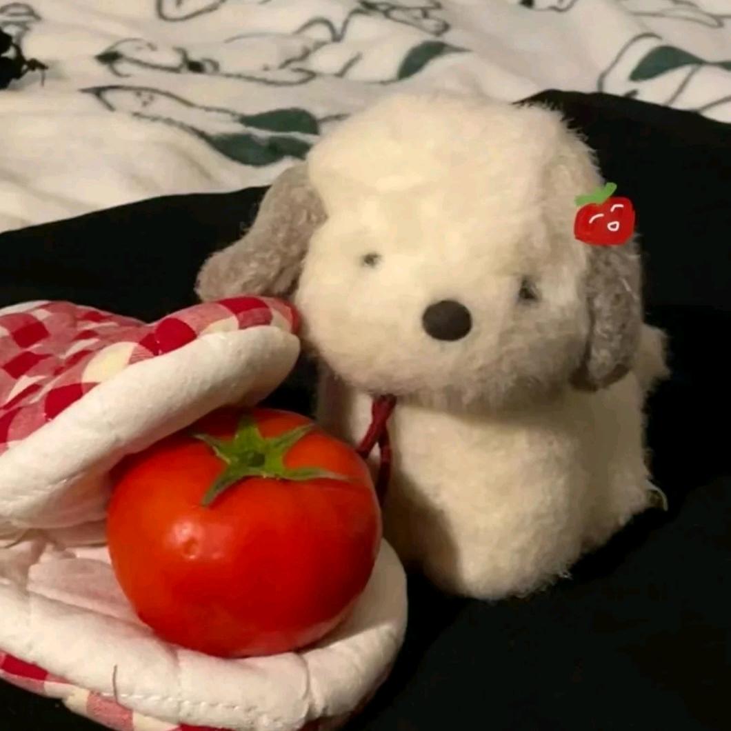 想当西红柿的番茄.🍅