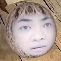 李文鑫