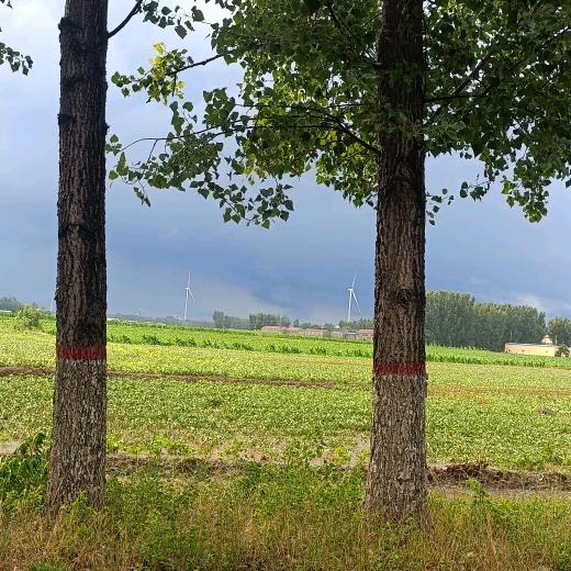 ໑ຼₒ໑ຼ⁵🍒顺风%顺水🍒