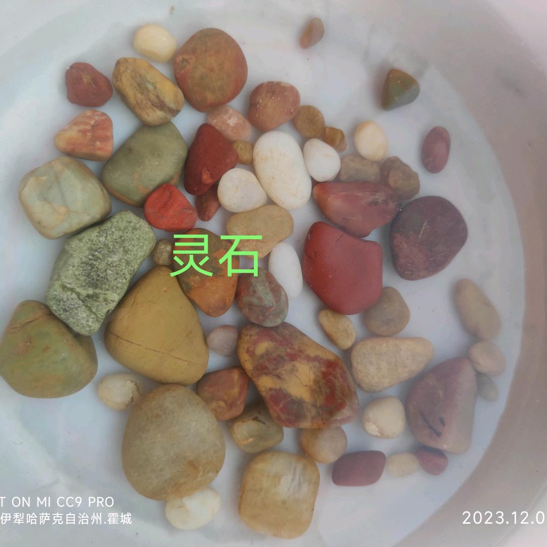 修仙很多年