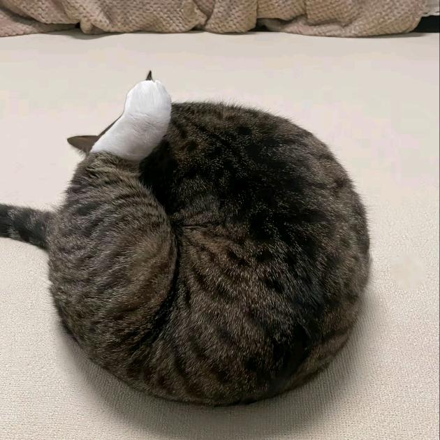 小改改
