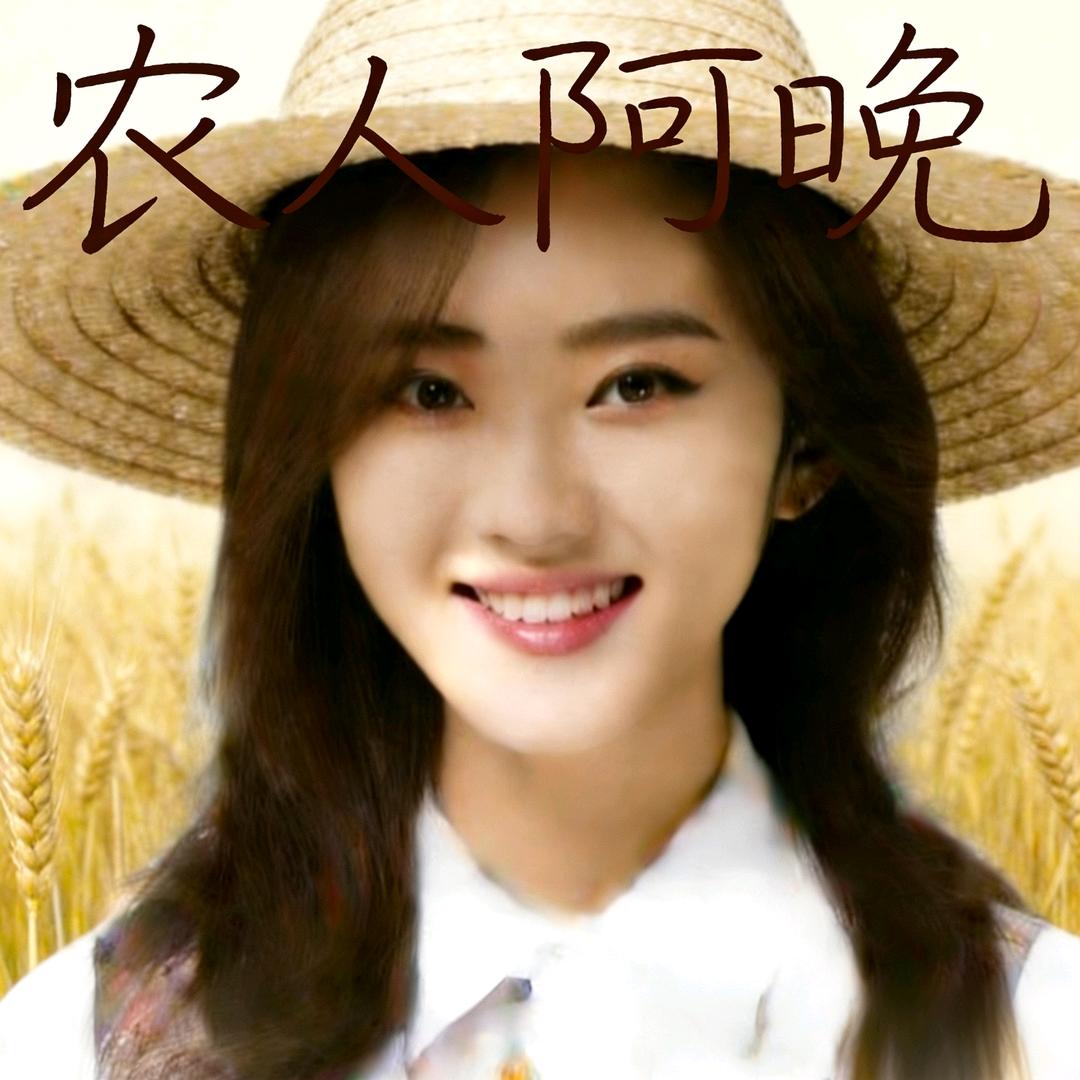 阿晚·驱鸟彩带