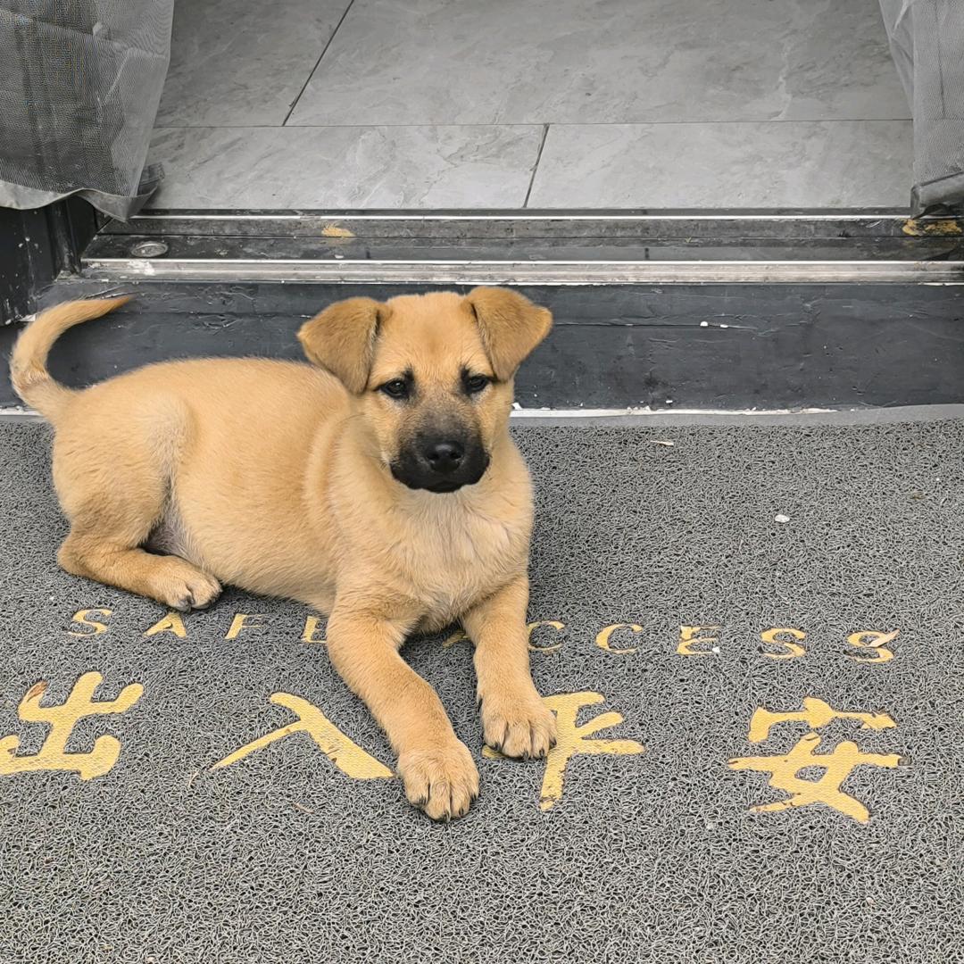 墨须友