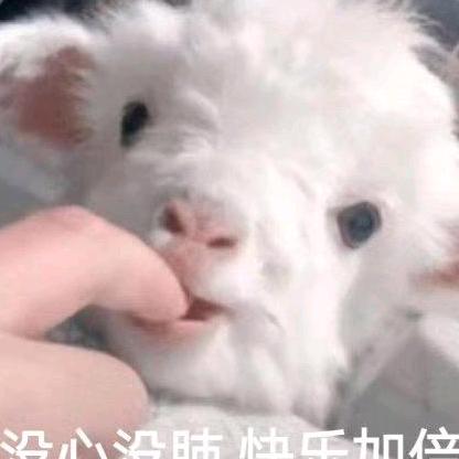 拾你所爱