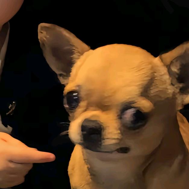 八角😛