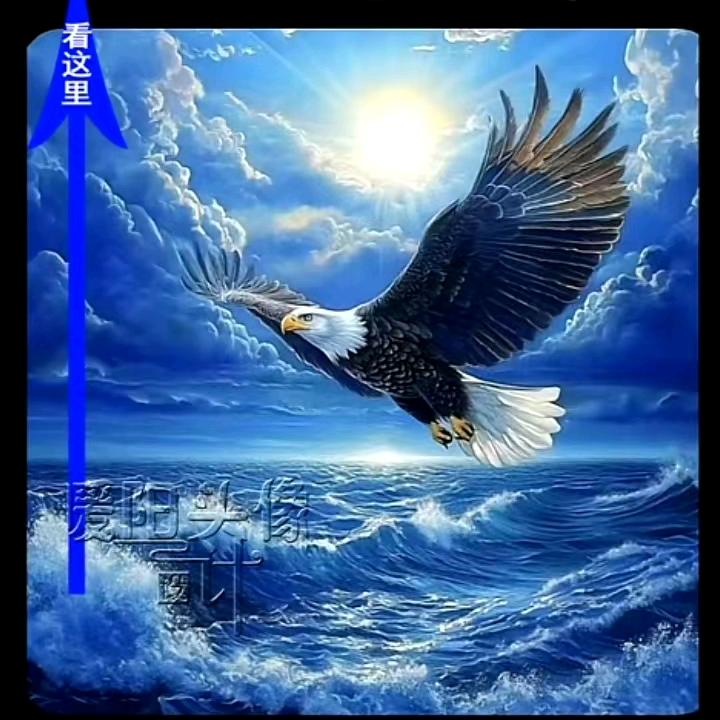 冰雨有关必回