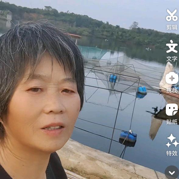 板栗姐