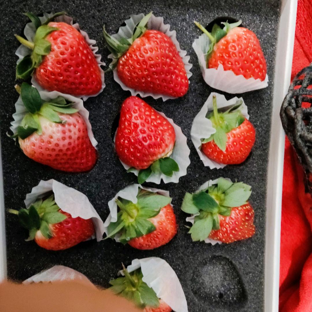 5️⃣⭐⭐⭐⭐⭐