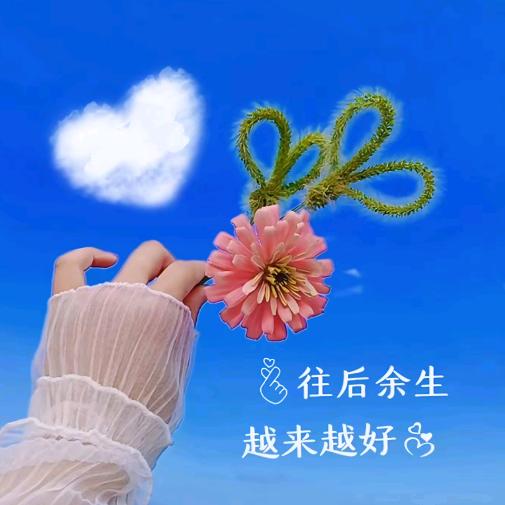 💗᭄余生ᝰᩚ随❤️
