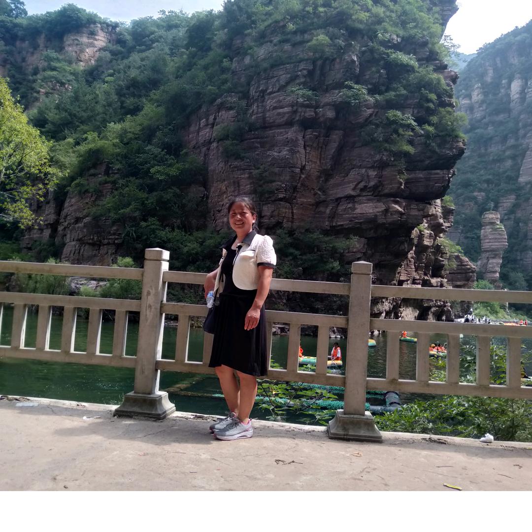雨中玫瑰