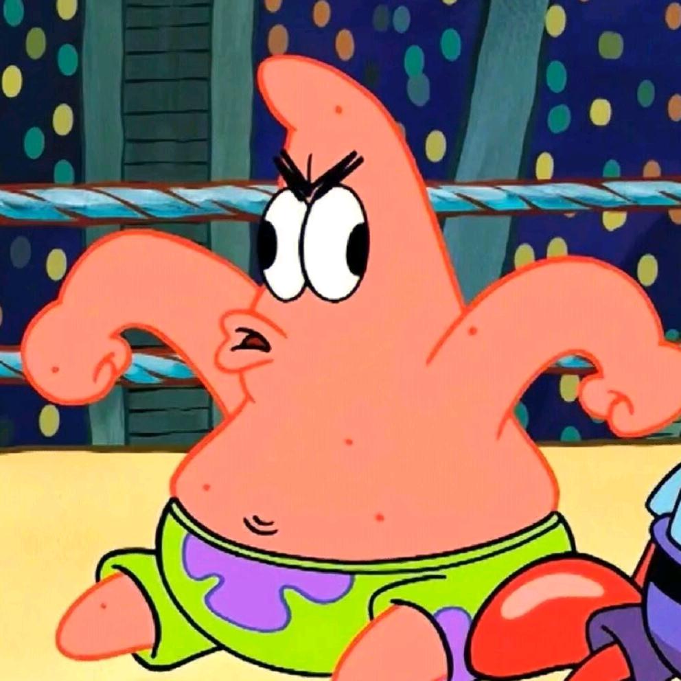 比奇堡里的派大星🌴