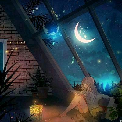 星✨月🌙