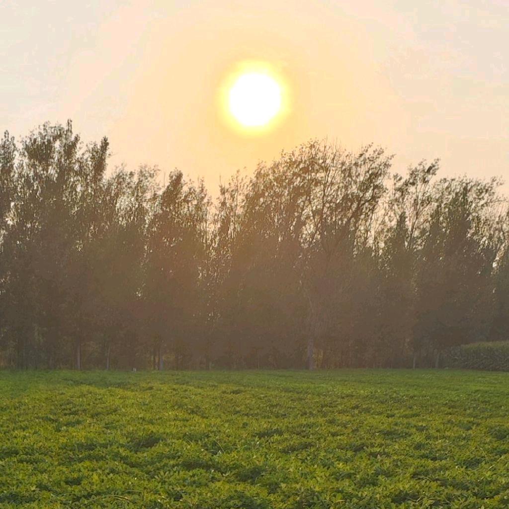 每天努力一点点