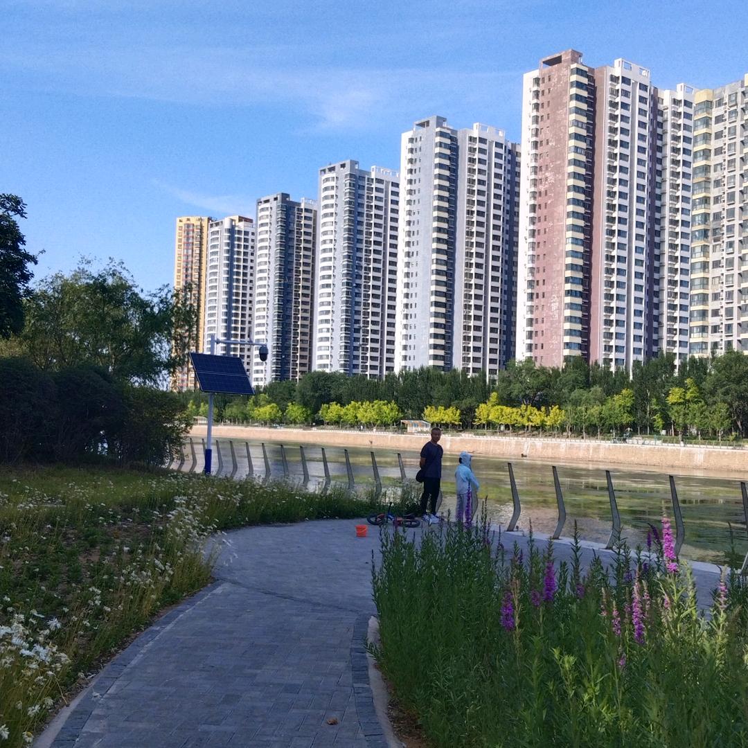 首播助力宝妈团