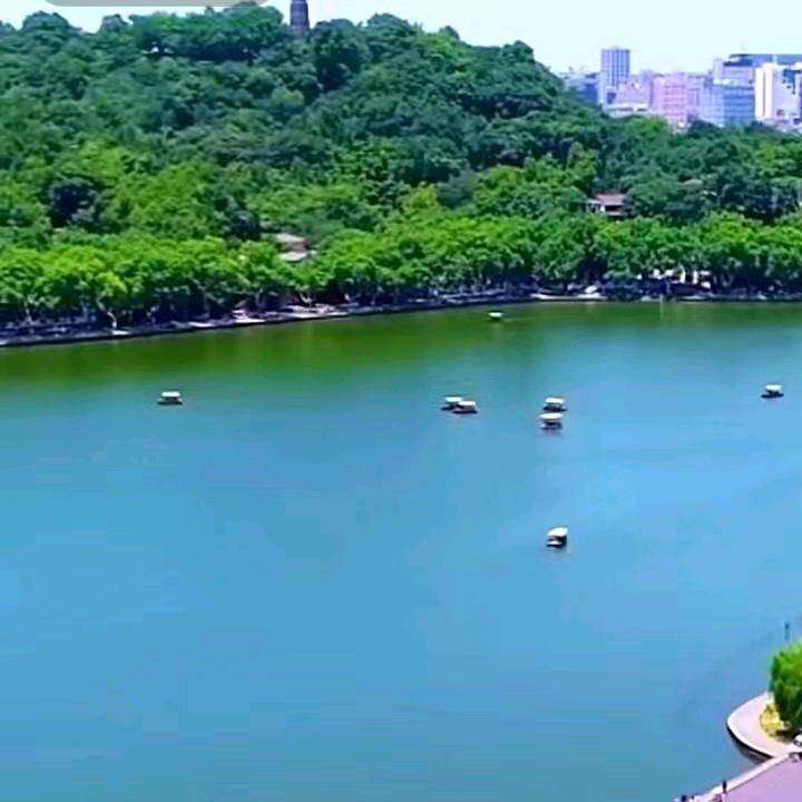 木斯