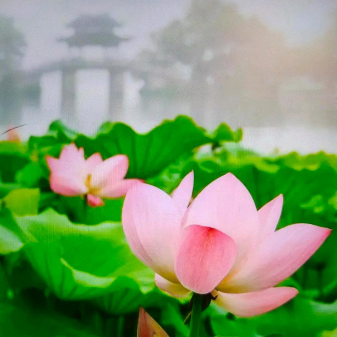 生活很好，多点微笑。