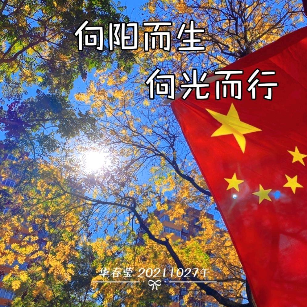 旋转小马