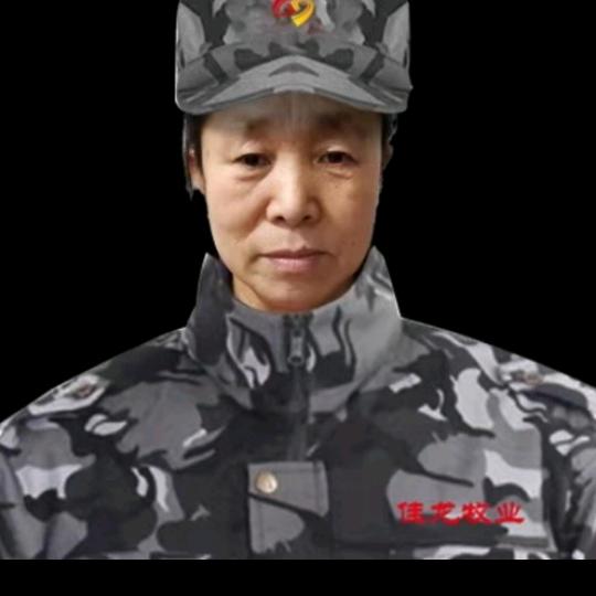 感恩的心