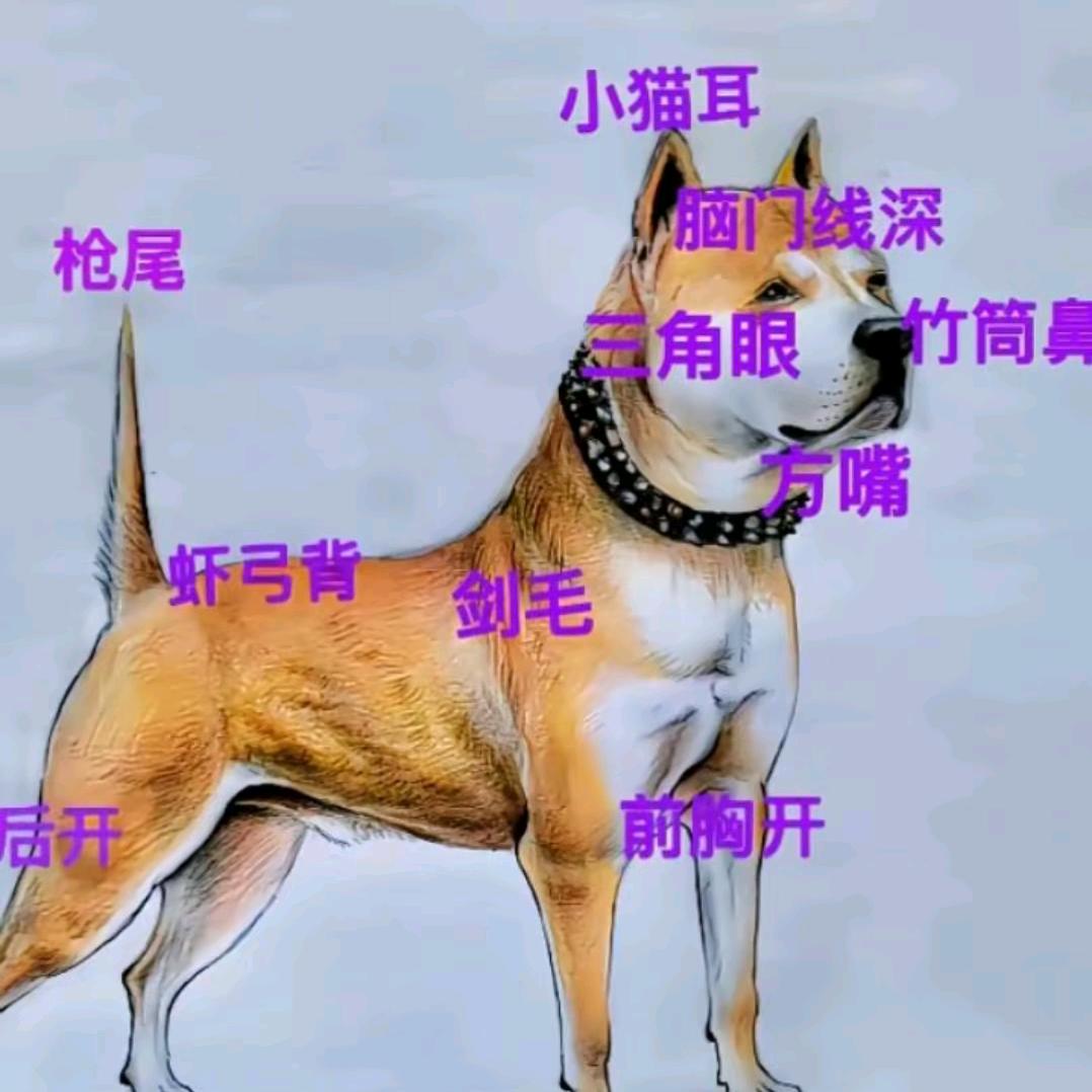 从江土猎