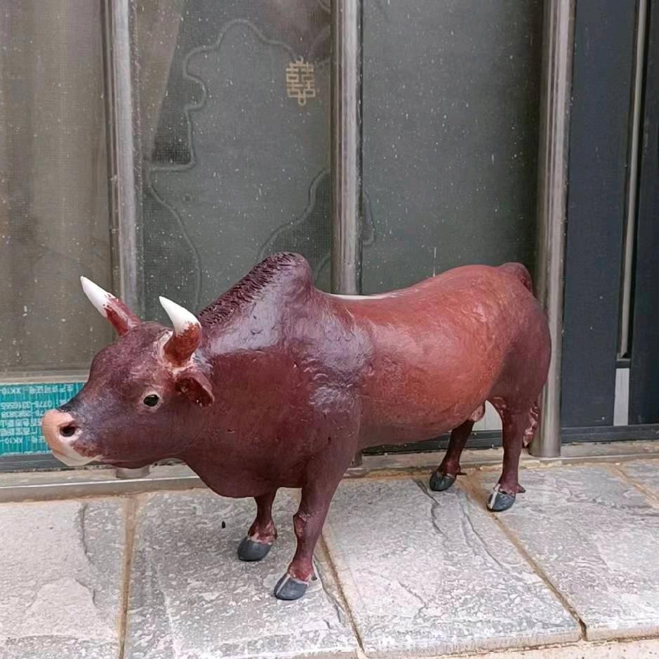 云南的小六哥
