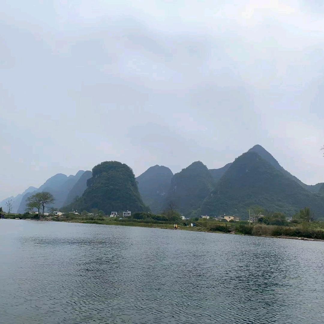 一只鱼🐟